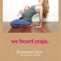 Prenatal Flow - DVD